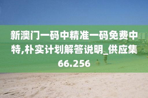 新澳门一码中精准一码免费中特,朴实计划解答说明_供应集66.256