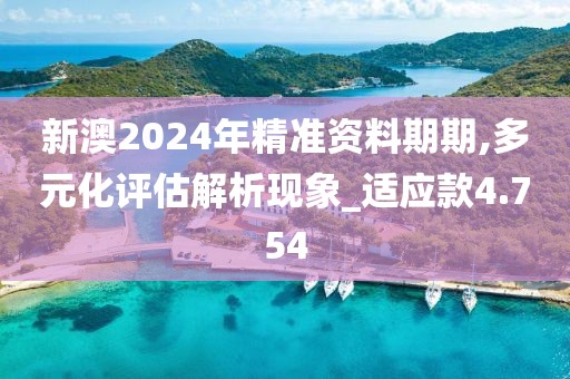 新澳2024年精准资料期期,多元化评估解析现象_适应款4.754