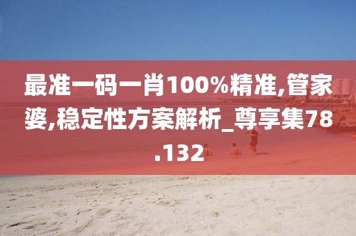 最准一码一肖100%精准,管家婆,稳定性方案解析_尊享集78.132