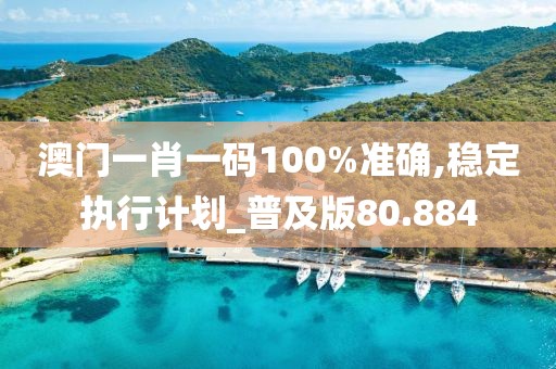 澳门一肖一码100%准确,稳定执行计划_普及版80.884
