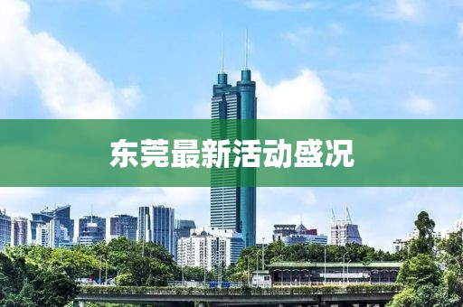 东莞最新活动盛况