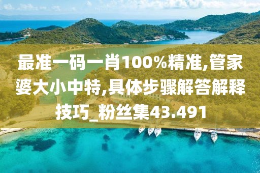 最准一码一肖100%精准,管家婆大小中特,具体步骤解答解释技巧_粉丝集43.491