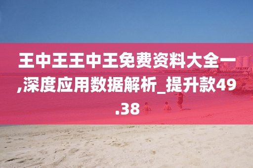 王中王王中王免费资料大全一,深度应用数据解析_提升款49.38