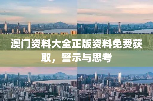 澳门资料大全正版资料免费获取，警示与思考