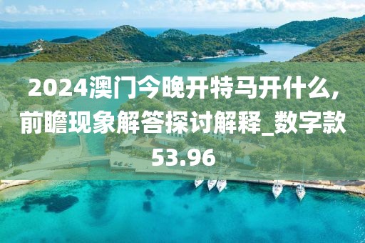 2024澳门今晚开特马开什么,前瞻现象解答探讨解释_数字款53.96