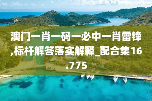 澳门一肖一码一必中一肖雷锋,标杆解答落实解释_配合集16.775