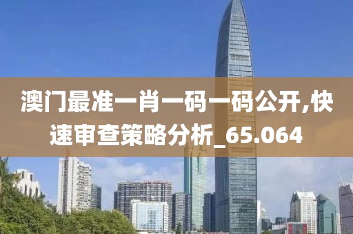 澳门最准一肖一码一码公开,快速审查策略分析_65.064