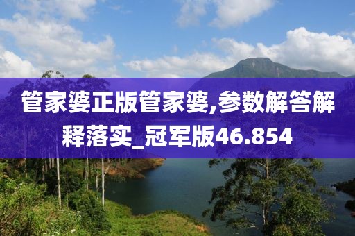 管家婆正版管家婆,参数解答解释落实_冠军版46.854