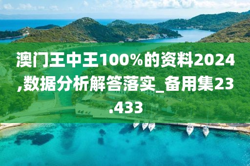 澳门王中王100%的资料2024,数据分析解答落实_备用集23.433