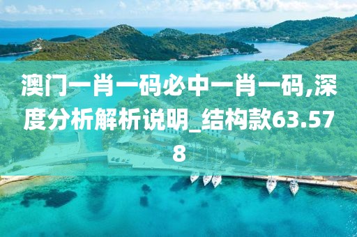 澳门一肖一码必中一肖一码,深度分析解析说明_结构款63.578
