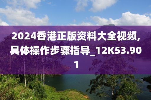 2024香港正版资料大全视频,具体操作步骤指导_12K53.901