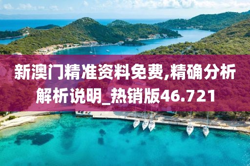 新澳门精准资料免费,精确分析解析说明_热销版46.721
