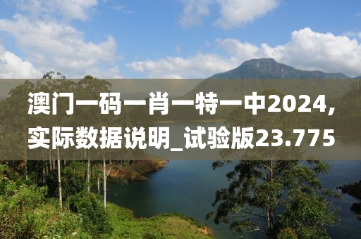 澳门一码一肖一特一中2024,实际数据说明_试验版23.775