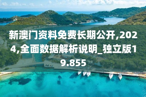 新澳门资料免费长期公开,2024,全面数据解析说明_独立版19.855