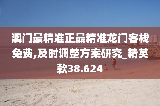澳门最精准正最精准龙门客栈免费,及时调整方案研究_精英款38.624