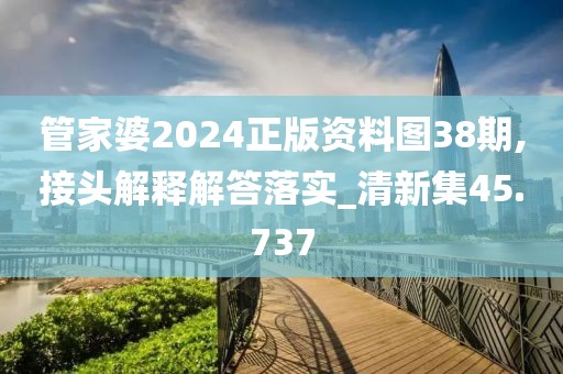 管家婆2024正版资料图38期,接头解释解答落实_清新集45.737