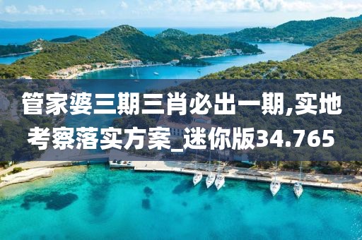 管家婆三期三肖必出一期,实地考察落实方案_迷你版34.765