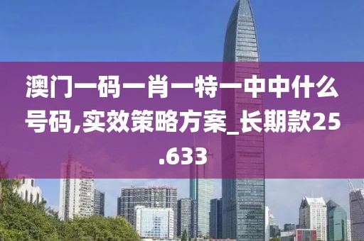 澳门一码一肖一特一中中什么号码,实效策略方案_长期款25.633