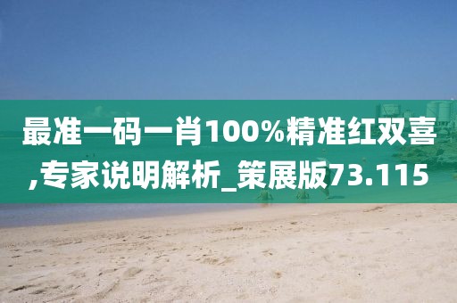 最准一码一肖100%精准红双喜,专家说明解析_策展版73.115