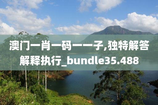 澳门一肖一码一一子,独特解答解释执行_bundle35.488