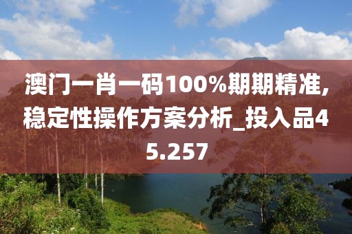 澳门一肖一码100%期期精准,稳定性操作方案分析_投入品45.257