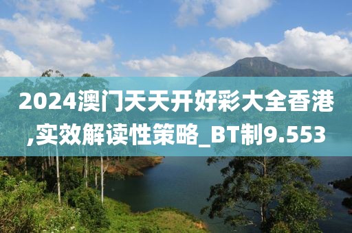 2024澳门天天开好彩大全香港,实效解读性策略_BT制9.553
