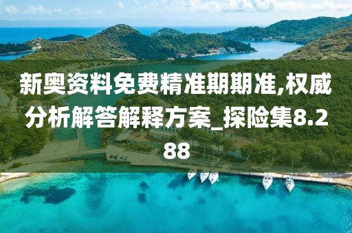 新奥资料免费精准期期准,权威分析解答解释方案_探险集8.288
