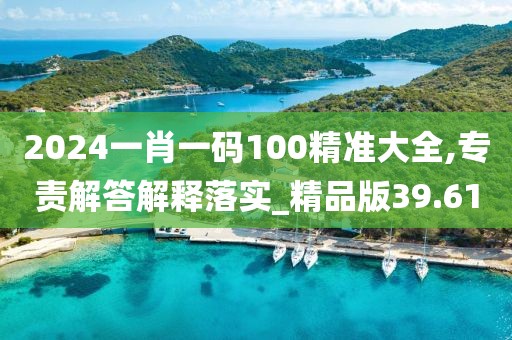 2024一肖一码100精准大全,专责解答解释落实_精品版39.61