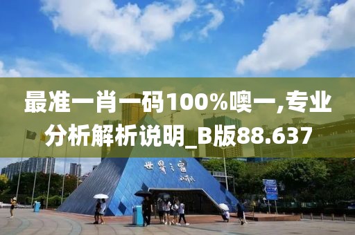最准一肖一码100%噢一,专业分析解析说明_B版88.637