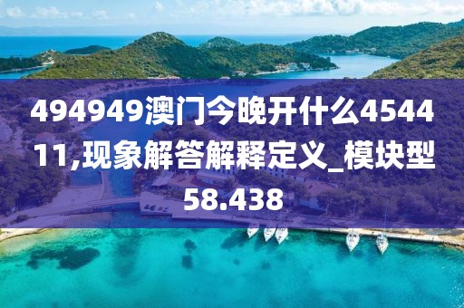494949澳门今晚开什么454411,现象解答解释定义_模块型58.438