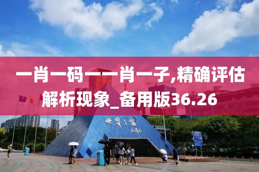 一肖一码一一肖一子,精确评估解析现象_备用版36.26