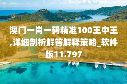 澳门一肖一码精准100王中王,详细剖析解答解释策略_软件版11.797