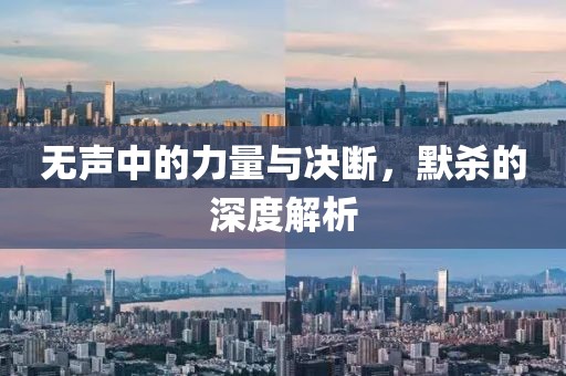 无声中的力量与决断，默杀的深度解析