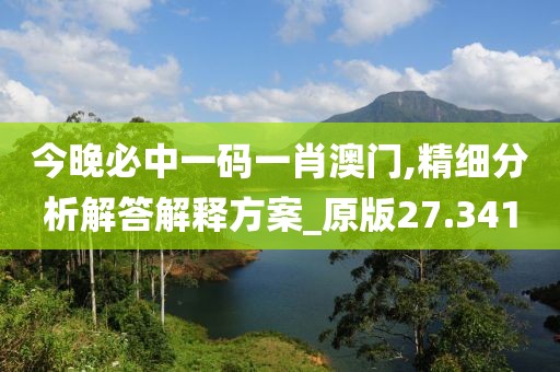 今晚必中一码一肖澳门,精细分析解答解释方案_原版27.341