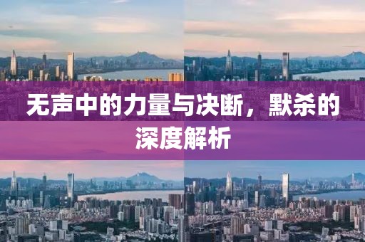 无声中的力量与决断，默杀的深度解析