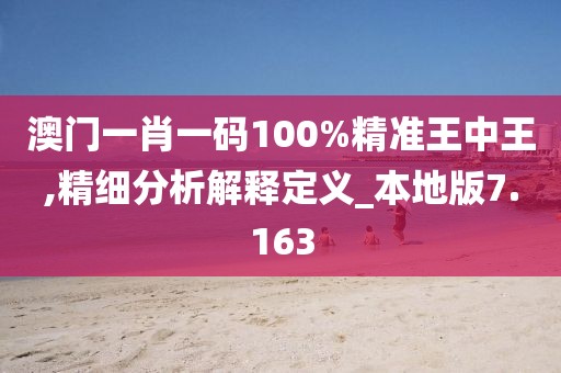 澳门一肖一码100%精准王中王,精细分析解释定义_本地版7.163