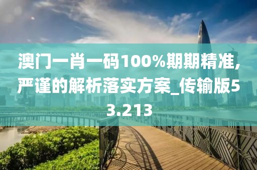 澳门一肖一码100%期期精准,严谨的解析落实方案_传输版53.213