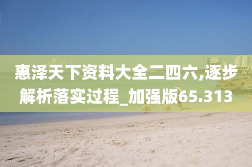 惠泽天下资料大全二四六,逐步解析落实过程_加强版65.313