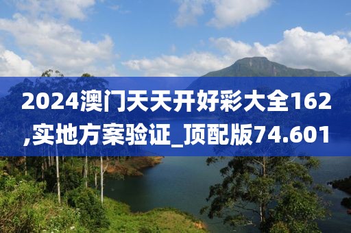 2024澳门天天开好彩大全162,实地方案验证_顶配版74.601