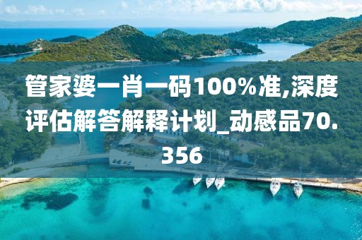 管家婆一肖一码100%准,深度评估解答解释计划_动感品70.356