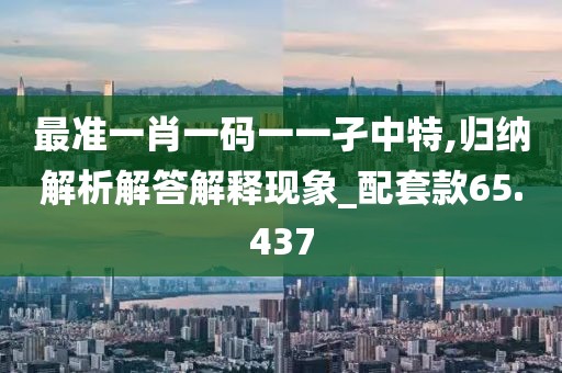 最准一肖一码一一孑中特,归纳解析解答解释现象_配套款65.437
