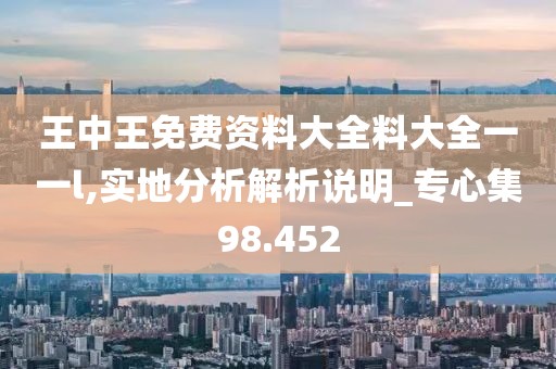 王中王免费资料大全料大全一一l,实地分析解析说明_专心集98.452