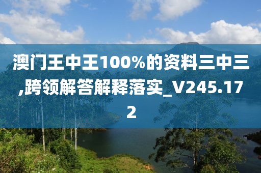 澳门王中王100%的资料三中三,跨领解答解释落实_V245.172