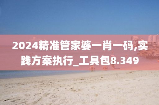 2024精准管家婆一肖一码,实践方案执行_工具包8.349