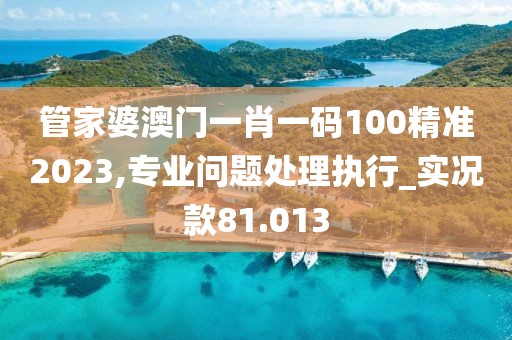 管家婆澳门一肖一码100精准2023,专业问题处理执行_实况款81.013