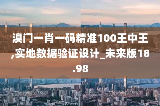 溴门一肖一码精准100王中王,实地数据验证设计_未来版18.98