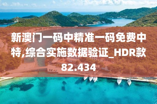 新澳门一码中精准一码免费中特,综合实施数据验证_HDR款82.434