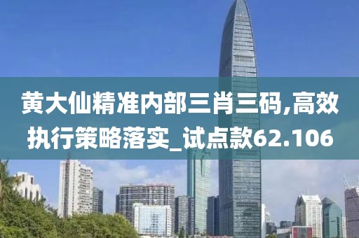 黄大仙精准内部三肖三码,高效执行策略落实_试点款62.106