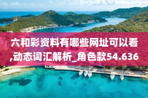六和彩资料有哪些网址可以看,动态词汇解析_角色款54.636