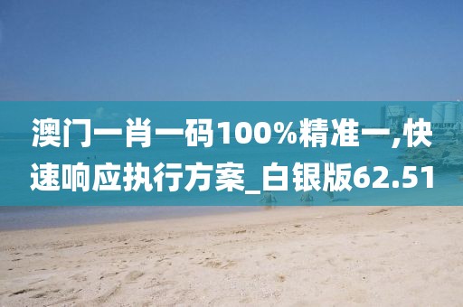澳门一肖一码100%精准一,快速响应执行方案_白银版62.51